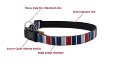 Aiminto reinforced-structure collar withstands daily play and strong pulls.