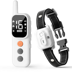 AINSYLI dog shock collar remote controls two-dog training in a backyard