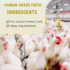 AIPETI freeze-dried chicken necks crunch close-up—crisp texture for dental-friendly snacking