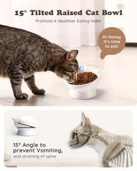 AISBUGUR elevated feeding setup is easy to clean with smooth glazed surface.