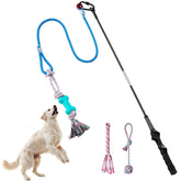 Aitmexcn flirt-pole-dogs-chase shows dynamic chase action for canine exercise.