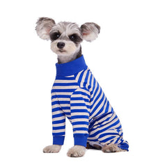 AITOLI dog-striped-recovery-suit back view demonstrates full coverage and easy removal.