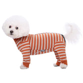 AITOLI dog striped recovery suit front view for full coverage and comfort
