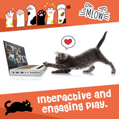 AIWEILUCK Cat Scratcher ball jingles to entice pawing and chasing.