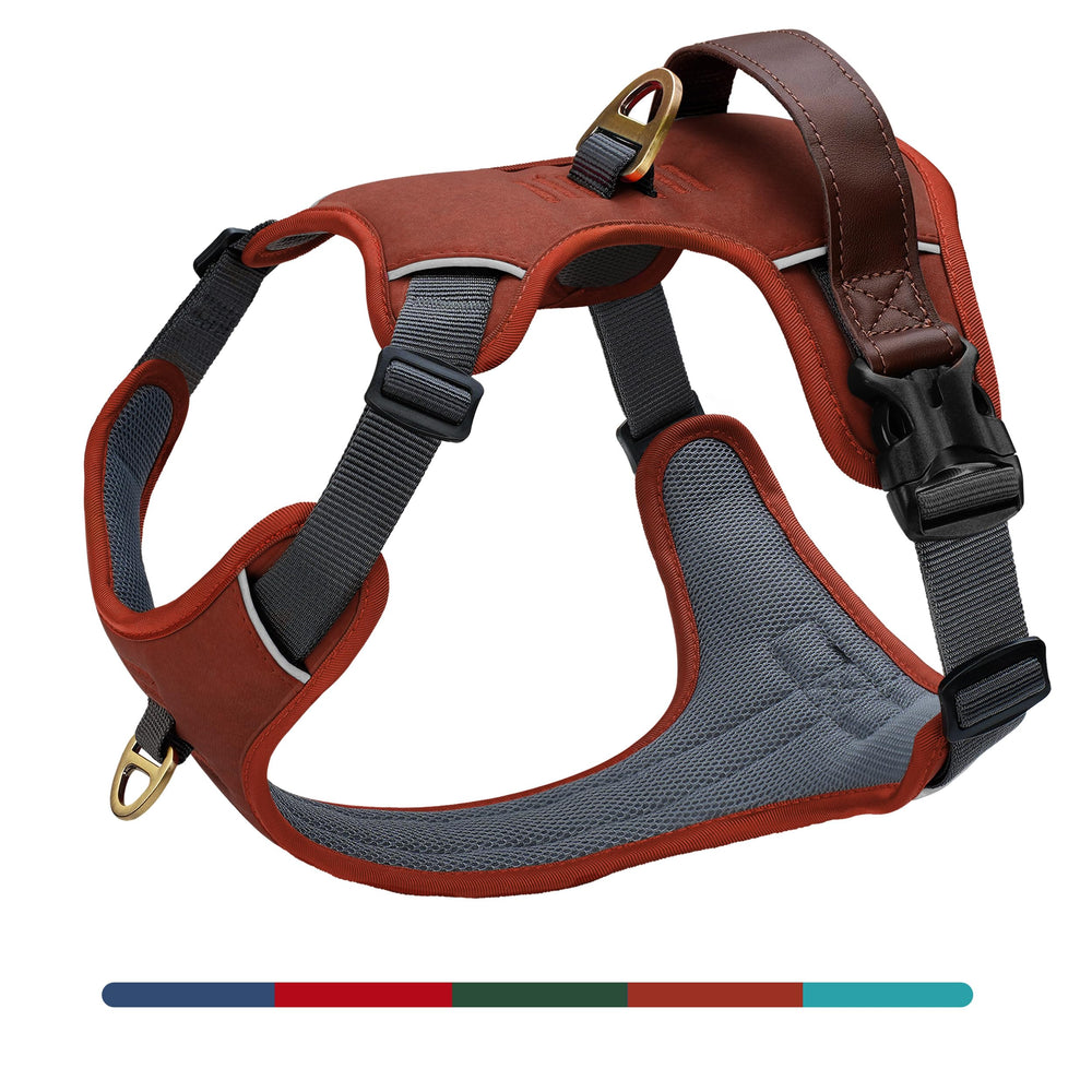 AKAILEA No Pull harness front clip brown demonstrates secure control during walks.