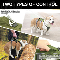 AKAILEA reflective design image boosts visibility during nighttime dog walks.