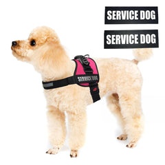ALBCORP vest showing reinforced handle for secure control in public