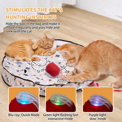 Aleena interactive cat toy tunnel entry invites chasing and hide-and-seek fun