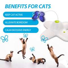 ALL FOR PAWS AFP Batteries not included reminder for 3 AA setup.