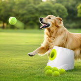 All For Paws automatic ball launcher front view showing ready-to-fetch setup for outdoor play