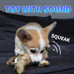 ALL FOR PAWS brown rabbit plush toy sized for portable play.