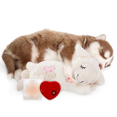 ALL FOR PAWS Heartbeat Dog Toy front view, comforting puppy anxiety relief.