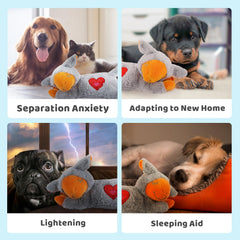 ALL FOR PAWS Heart Beat Toy separation-anxiety-relief helps puppies stay calm when apart.