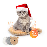 ALL FOR PAWS heated cat bed inside setup delivers cozy warmth for cats