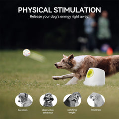 ALL FOR PAWS launcher side view highlighting portable cordless operation for outdoor play.