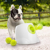 ALL FOR PAWS Original Ball Launcher front view showcases compact, ready-to-use design for pets.