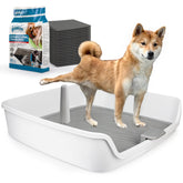 ALL FOR PAWS Pee Pad Holder with grid design keeps paws dry during potty training.