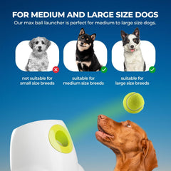 All For Paws rechargeable battery label highlighting long-lasting power