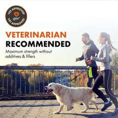 Alpha Dog Nutrition joint powder scoop demonstrates easy daily dosing for active dogs