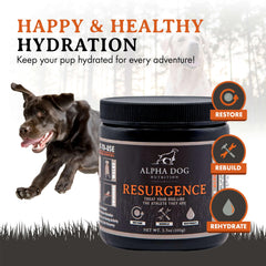 Alpha Dog Nutrition Resurgence pour shot showing quick hydration mix