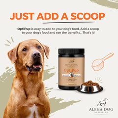 Alpha Dog Nutrition OptiPup puppy digestive-blend image emphasizes gut health support.