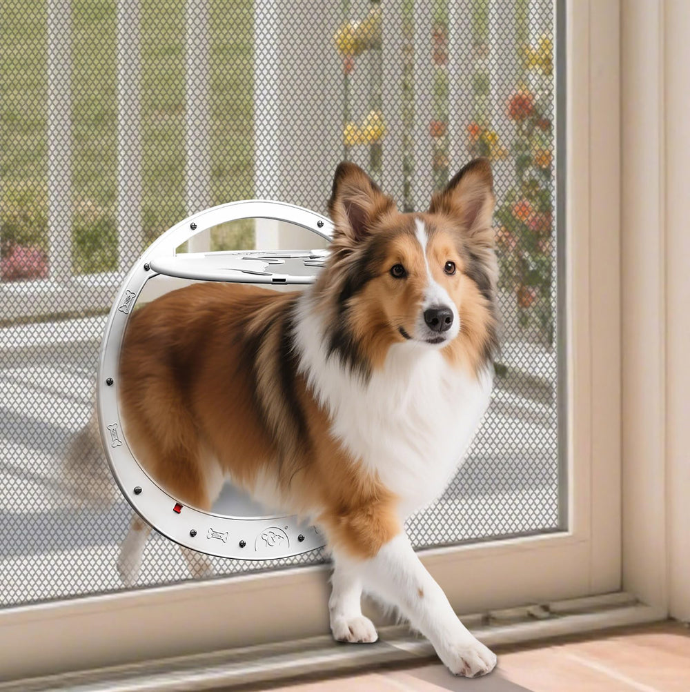 ALUMANI dog door screen door white frame, sturdy design for frequent pet access.