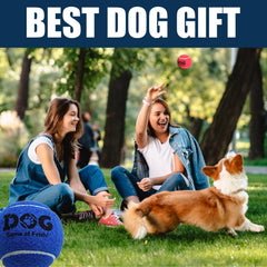 AMA SPORT natural-rubber-dog-tennis-ball durable toy for long-lasting backyard games.