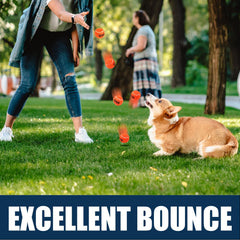 AMA SPORT bright orange balls visible in grass for quick sight during play.
