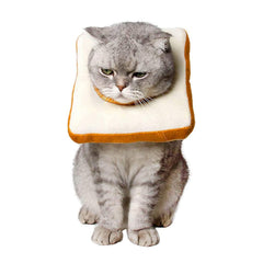 Amakunft adjustable cat cone collar in packaging shows vacuum-sealed efficiency for safe shipping