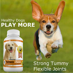 Amazing Nutritionals Amazing Turmeric for Dogs packaging highlighting natural ingredients and allergy friendly formulation