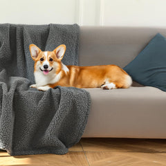 Amazon Basics pet blanket reversible gray side up showing dual style