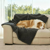 Amazon Basics pet blanket on sofa showing generous size for pets