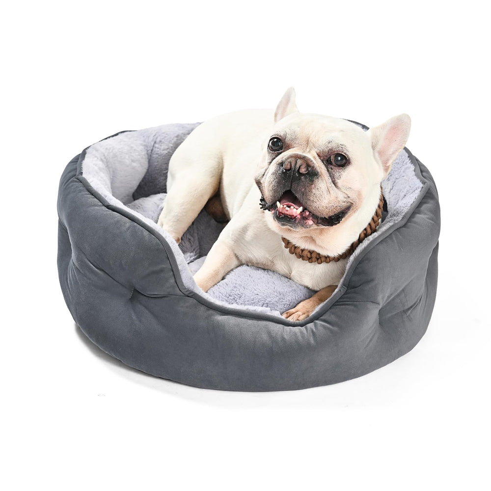 Amazon Basics round dog bed with soft plush cushion for cozy naps.