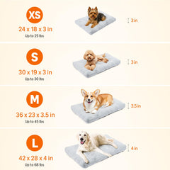Amazon Basics small dog bed soft padding provides cozy nap surface