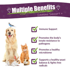 Amber NaturalZ Vibactra Plus proprietary herbal blend highlights immune-support ingredients.