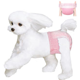 Ambreview disposable dog diapers female pack front view for easy wear
