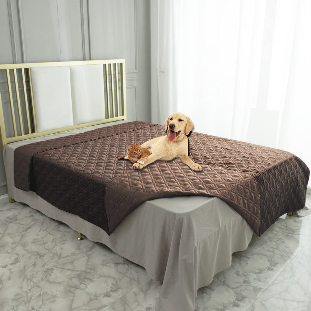 Ameritex waterproof blanket on sofa protects furniture from spills and muddy paws.