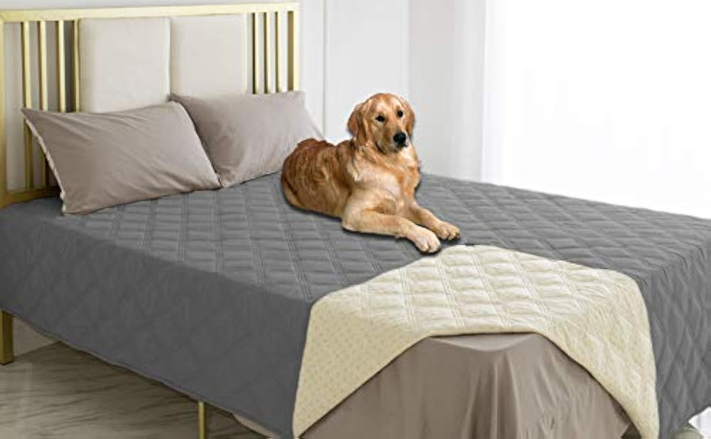 Ameritex waterproof dog bed cover on couch offers mess protection against spills.