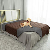 Ameritex waterproof dog bed cover on sofa protects furniture from spills