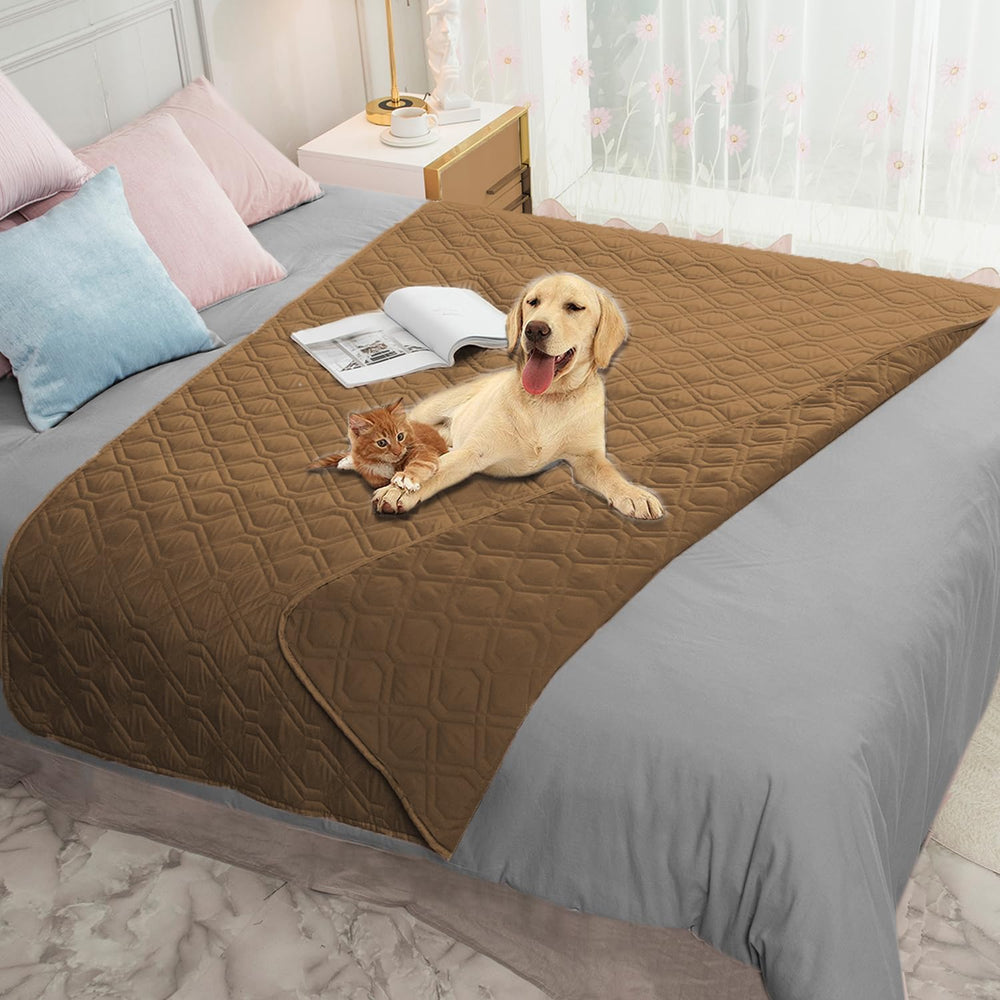 Ameritex waterproof dog bed cover on sofa protects against spills and accidents.