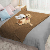 Ameritex waterproof dog bed cover on sofa protects against spills and accidents.