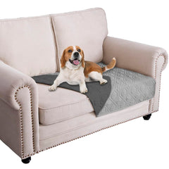 Ameritex waterproof dog bed cover on a sofa protecting furniture from spills.