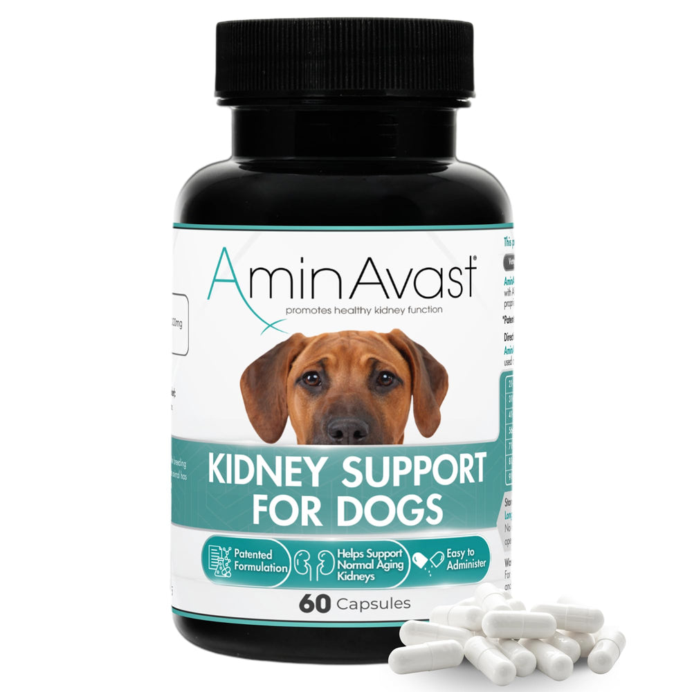 AminAvast dog kidney supplement bottle—ready for daily kidney support