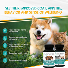 AminAvast dog kidney supplement pour bottle—convenient dosing
