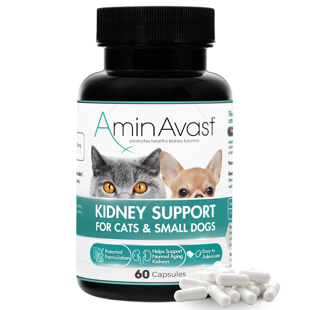 AminAvast kidney-support bottle with capsules promoting renal health for pets.