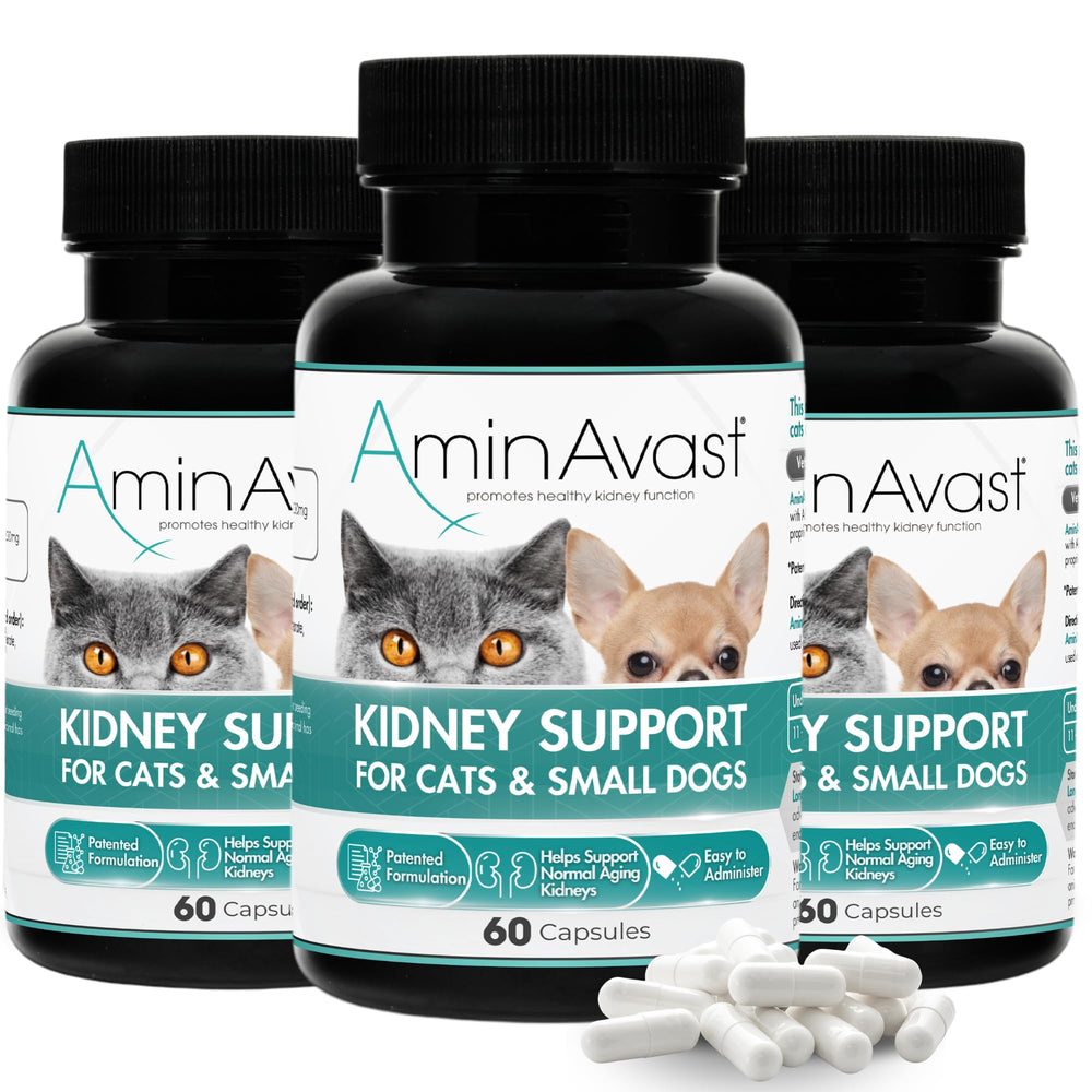 AminAvast kidney support sprinkle capsules closeup for daily pet kidney health