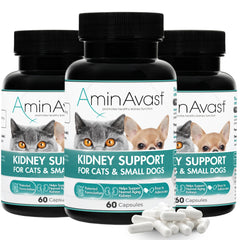 AminAvast kidney support sprinkle capsules closeup for daily pet kidney health