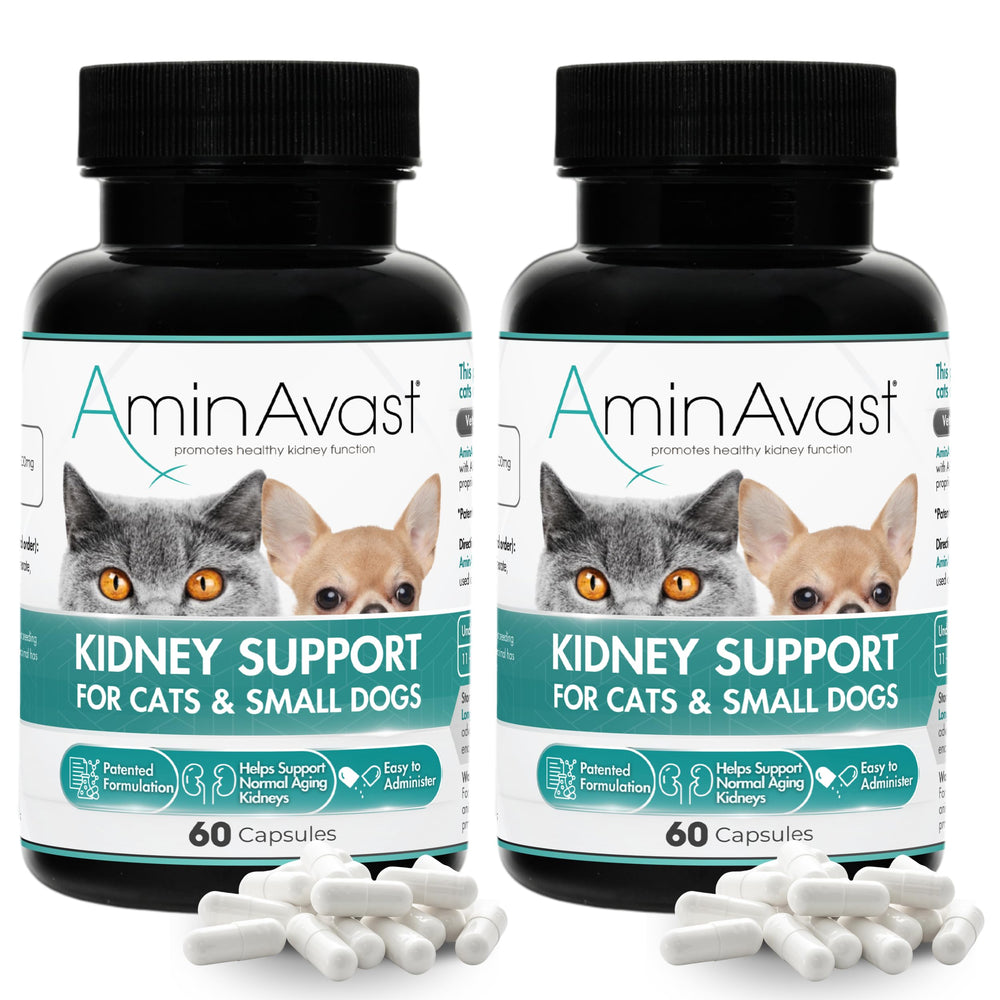 AminAvast kidney-support sprinkle capsules ready to mix into food for easy daily renal support.