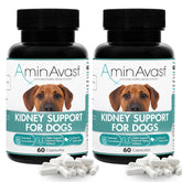 AminAvast kidney-support sprinkle capsules beside a dog bowl for kidney support.