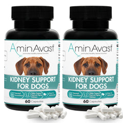 AminAvast kidney-support sprinkle capsules beside a dog bowl for kidney support.